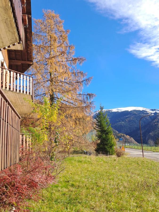 181 - Casa Arcobaleno Tra Le Alpi, Piste Da Sci A 15 Minuti Apartment Castione della Presolana Exterior photo